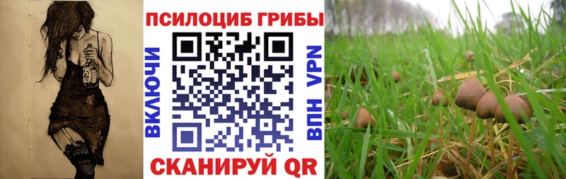 продажа наркотиков  Видное  Галлюциногенные грибы ЛСД 